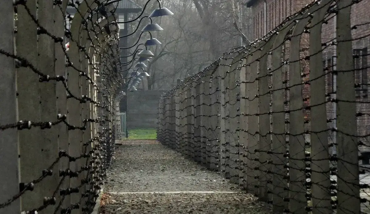 Hekken Auschwitz