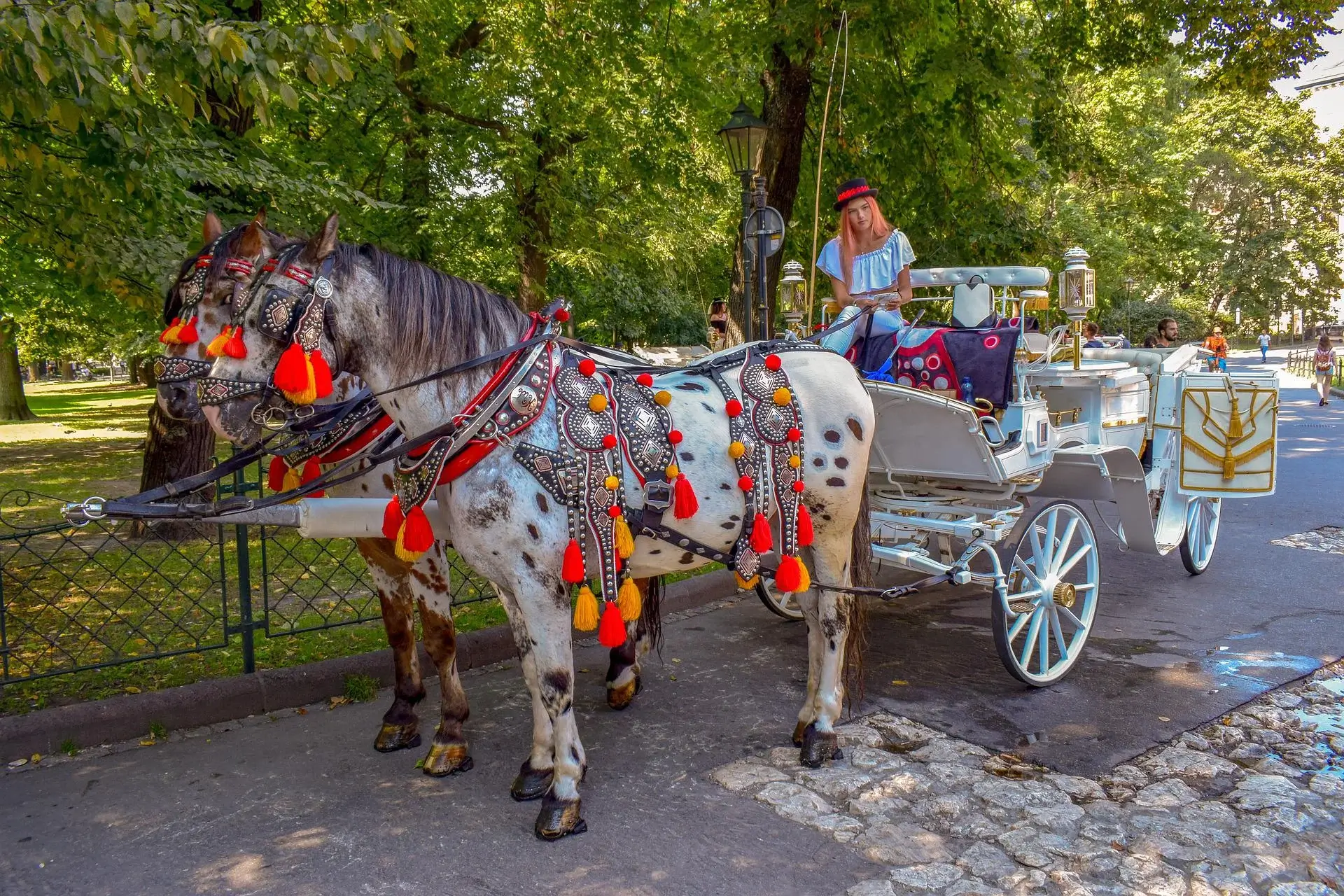 Zomer Krakau